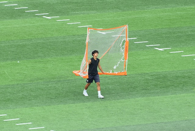 不少网友指